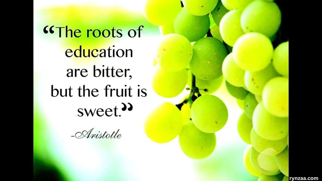 Inspirational Education Quotes
