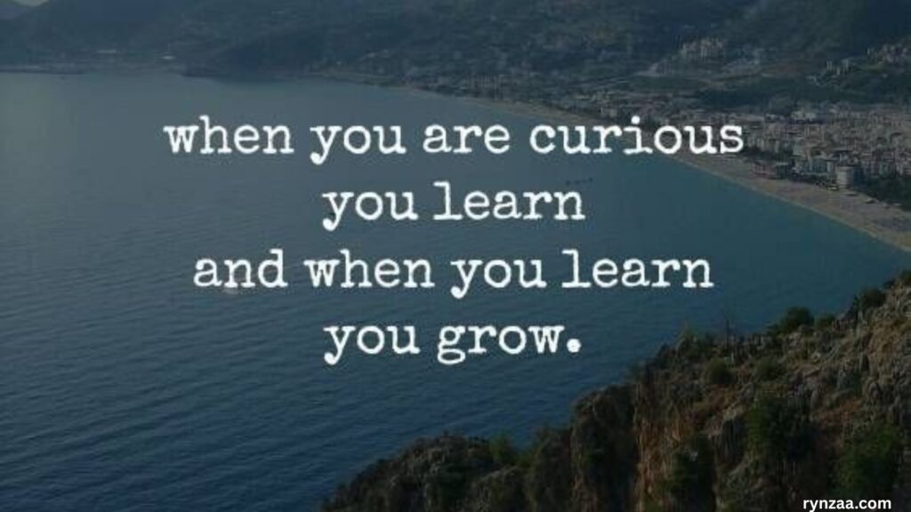 Quotes About Curiosity