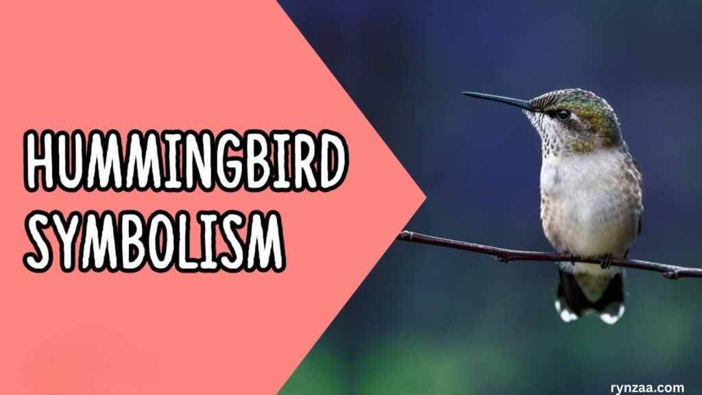 Hummingbird Symbolism