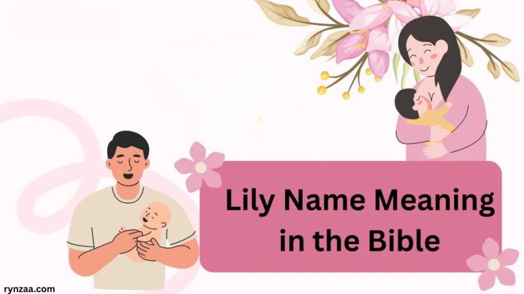 Lily Name Meaning in the Bible